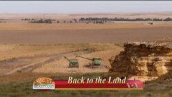 Buenos Días América 