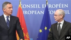Predsednik Evropskog saveta Herman van Rompuj i crnogorski premijer Milo Djukanović u Briselu 21. januara 2013. 