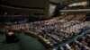 Генассамблея ООН признала права грузинских беженцев