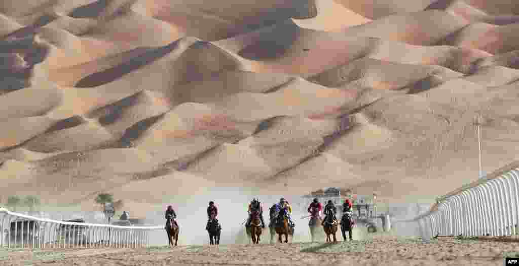 Jockeys compete in a race of purebred Arab horses during the Liwa 2019 Moreeb Dune Festival in the Liwa desert, some 250 kilometers west of the Gulf Emirate of Abu Dhabi, during the Liwa 2019 Moreeb Dune Festival, Jan. 1, 2019.