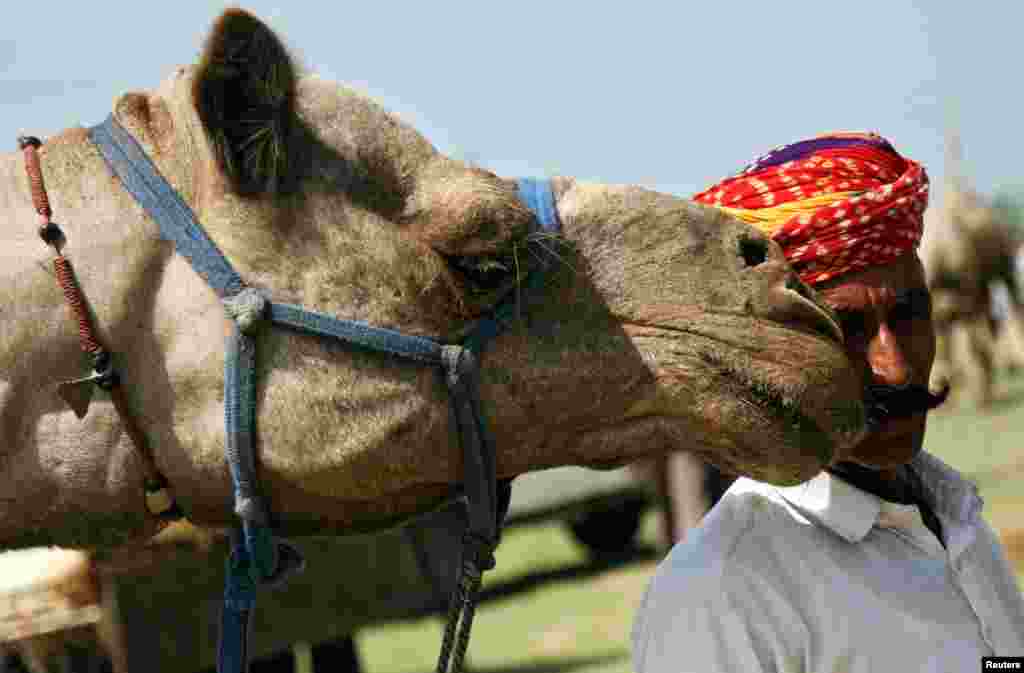 A camel trader stands next to his camel at the Tejaji Cattle Fair in the village Parbatsar, in the desert state of Rajasthan, India.