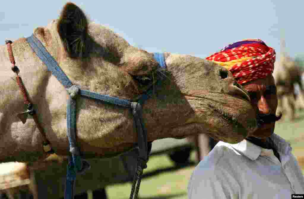A camel trader stands next to his camel at the Tejaji Cattle Fair in the village Parbatsar, in the desert state of Rajasthan, India.