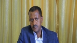 ቃለ መጠይቕ ምስ አባል ኣመራርሓ ብሓደራ ዘመሓድር ዘሎ ቦርድ ትእምት ኣቶ ሙሉኣለም ብርሃነ(2ይ ክፋል)