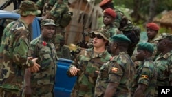 지난 2012년 4월 중앙아프리카공화국에 파병된 미군 툭수부대 소속 군인들이 현지 군인들과 대화하고 있다. (자료사진)