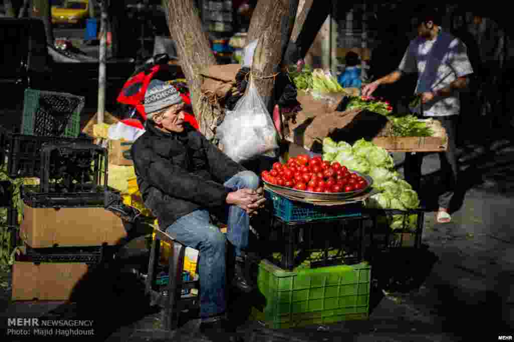 در آفتاب لرزان اسفند، این فروشنده در جنوب تهران منتظر مشتری است. عکس: مجید حق دوست