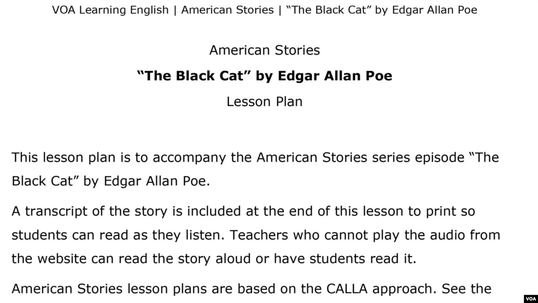 the black cat short essay