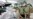 Beijing Wants Home Ebola Quarantine for Some Travelers