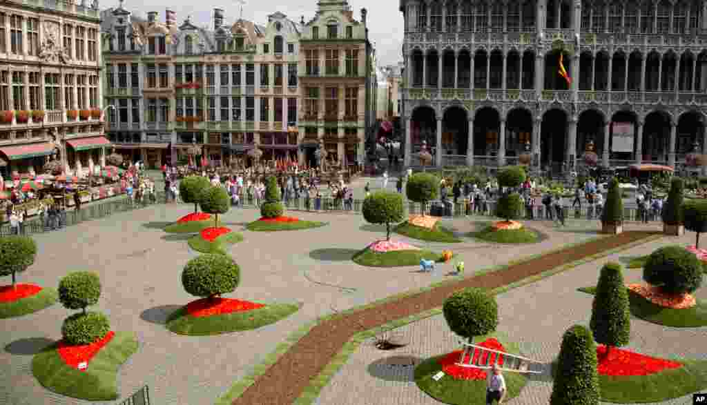 Seorang pekerja membawa tangga melalui instalasi bunga dan topiary saat mempersiapkan pembukaan acara tahunan Floralientime yang pertama di Grand Place di Brussels, Belgia. Arsitek lansekap internasional terkenal dan seniman bunga akan memamerkan karya mereka di alun-alun dan balai kota selama empat hari.