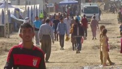 Iraqi Grapples With Displaced Civilians Dilemma in Mosul