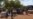 Drought Devastates Zimbabwe's Mashonaland West Region