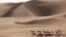 پناهگاه غزال عربی در جنوب ابوظبی نزديک مرز امارات متحده عربی با عربستان. اين پناهگاه با وسعت تقريبی ۸۹۰۰ کيلومتر مربع ۱۵۵ راس غزال را در خود جای داده است. در دهه ۱۹۷۰ و ۱۹۸۰ ميلادی بيم از آن می&zwnj;رفت که نسل اين نوع غزال در حال انقراض باشد که طی يک طرح حفاظت ۵ ساله&zwnj;، با کمک ايالات متحده، جلوی انقراض کامل آن گرفته شد.
