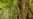 Brasil reduce deforestación