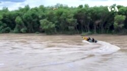 د هلمند سیند