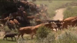 Buenos Días América 