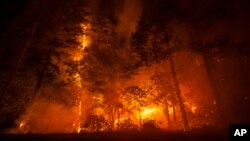 El incendio del parque arde a lo largo de la autopista 32 cerca de Butte Meadows, California, el 28 de julio de 2024.