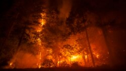 Más de cuatro mil bomberos trabajan en la contención del incendio forestal más grande reportado en lo que va del año en California.