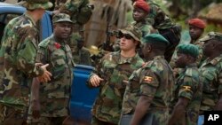 Des responsables de l'armée américaine parlent aux soldats des armées centrafricaines et ougandaises, le 29 avril 2012.