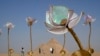 Visitors walk past the "Padma/Pulse and Bloom" art installation of Indian artist Shilo Shiv Suleman during the "Forever Is Now" contemporary art exhibition at the historical site of the Giza Pyramids, on the outskirts of Cairo, Egypt, Oct. 24, 2024. 