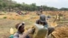 Zimbabwean Artisanal Miners Fear Resurgence of Violence 