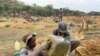 Youths looking for gold in Mazowe, about 40 kilometers north of Harare, say they can go for days without getting anything. (Columbus Mavhunga/VOA)