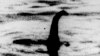 Scientists to Use DNA in Search for Loch Ness Monster