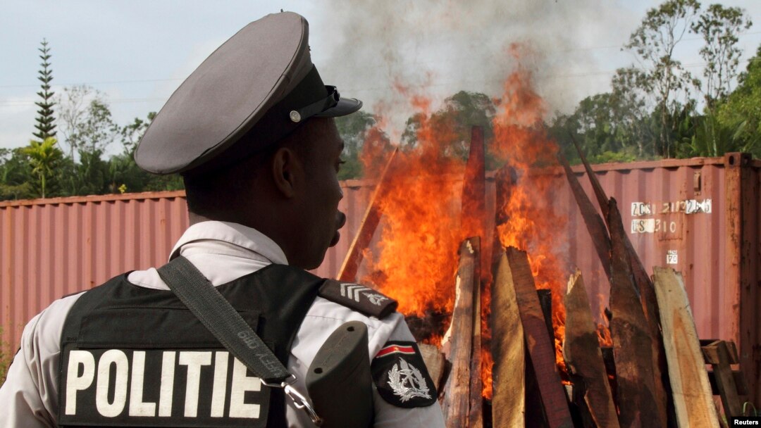 Seorang polisi memperhatikan pemusnahan kokain dan mariyuana sitaan di Paramaribo, Suriname, 19 April, 2011. 