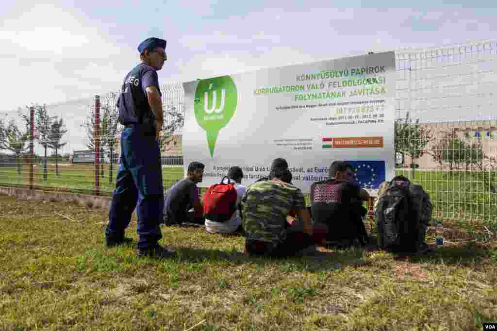 A police officer stands over a group of Afghan men who crossed the Hungarian border illegally Tuesday, Sept. 15, 2015. (A. Tanzeem/VOA)