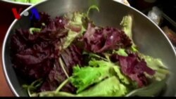 Food for the Inner City (VOA On Assignment May 17)