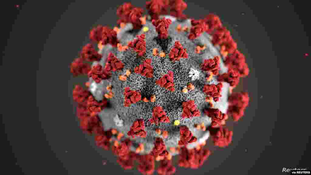 미국 질병통제예방센터(CDC)가 전시한 신종 코로나바이러스 구조 형태. 