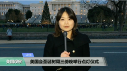 VOA连线：川普承认耶路撒冷为以色列首都