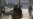 Taliban: Ready For 'Meaningful' Talks