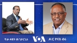 የነገይቱ ኢትዮጵያ መጭ ጊዜያት መንታ መነፅሮች - ክፍል አንድ