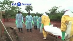 VOA60 Afirka: WHO da Cutar Ebola a Yammacin Afirka, Agusta 28, 2014