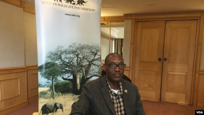 Kaddu Sebunya is president of the African Wildlife Foundation. The organization hopes to develop the next generation of African conservationists.