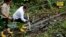 El presidente Rafael Correa acusó a la petrolera estadounidense de provocar daños irreparables a la Amazonía de su país.