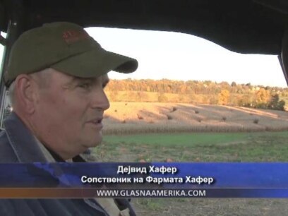 Без тиква нема Ноќ на вештерките