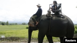 A tourist sits on the back of an elephant in Jul village, central highland province of Dak Lak, Vietnam, Sept. 6, 2009.