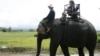 A tourist sits on the back of an elephant in Jul village, central highland province of Dak Lak, Vietnam, Sept. 6, 2009.
