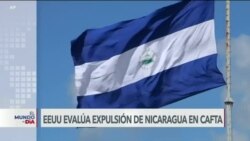 El Mundo al Día