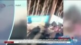 اخبار شامگاهی