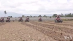 Okay: Gouvènman an Pote Kèk Asistans Bay Peyizan yo pou Ede Pwodui Plis Manje