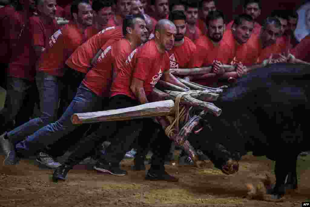 A group of men perform the bullfight of &quot;Capeia Arraiana&quot; during the Bullfighting Day at the Campo Pequeno bullfighting arena in Lisbon, Portugal, Feb. 23, 2019.