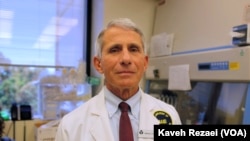 Dr. Anthony Fauci, head of the National Institute of Allergy and Infectious Diseases