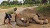 Gajah Sumatera di pusat konservasi gajah di Minas, provinsi Riau, 30 Desember 2013. (Foto: dok).