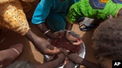 FILE - In this May 1, 2012 photo, Maryam Sy and five of her nine children share a meager bowl of tamarind-flavored porridge, some of the only food they will get that day, in the village of Goudoude Diobe, in Matam region of Senegal.