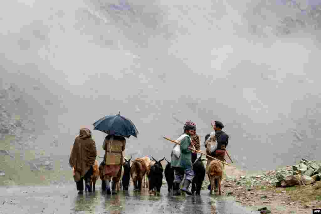 Para penggembala Afghanistan berjalan dengan domba-domba mereka di sepanjang jalan pada hari berkabut di distrik Khash, provinsi Badakhshan. (AFP)