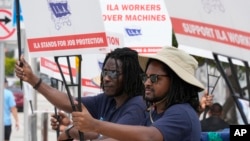 Dockworkers from Port Miami display signs at a picket line, Oct. 3, 2024, in Miami. 