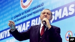 Turkey's President Recep Tayyip Erdogan speaks about the upcoming 16 April referendum during a meeting with his supporters in Istanbul, March 19, 2017. 