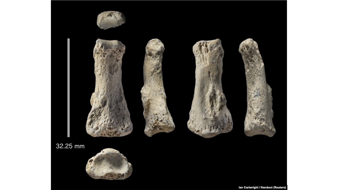 The single fossil finger bone of Homo sapiens - pictured from various angles - from the Al Wusta site, Saudi Arabia is pictured in this undated handout composite photo obtained by Reuters April 9, 2018.