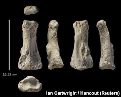 The single fossil finger bone of Homo sapiens - pictured from various angles - from the Al Wusta site, Saudi Arabia is pictured in this undated handout composite photo obtained by Reuters April 9, 2018.